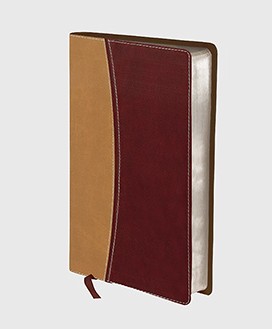 Englisch, Bibel Amplified, kompakt, Kunstleder, Einband zweifarbig beige/bordeaux