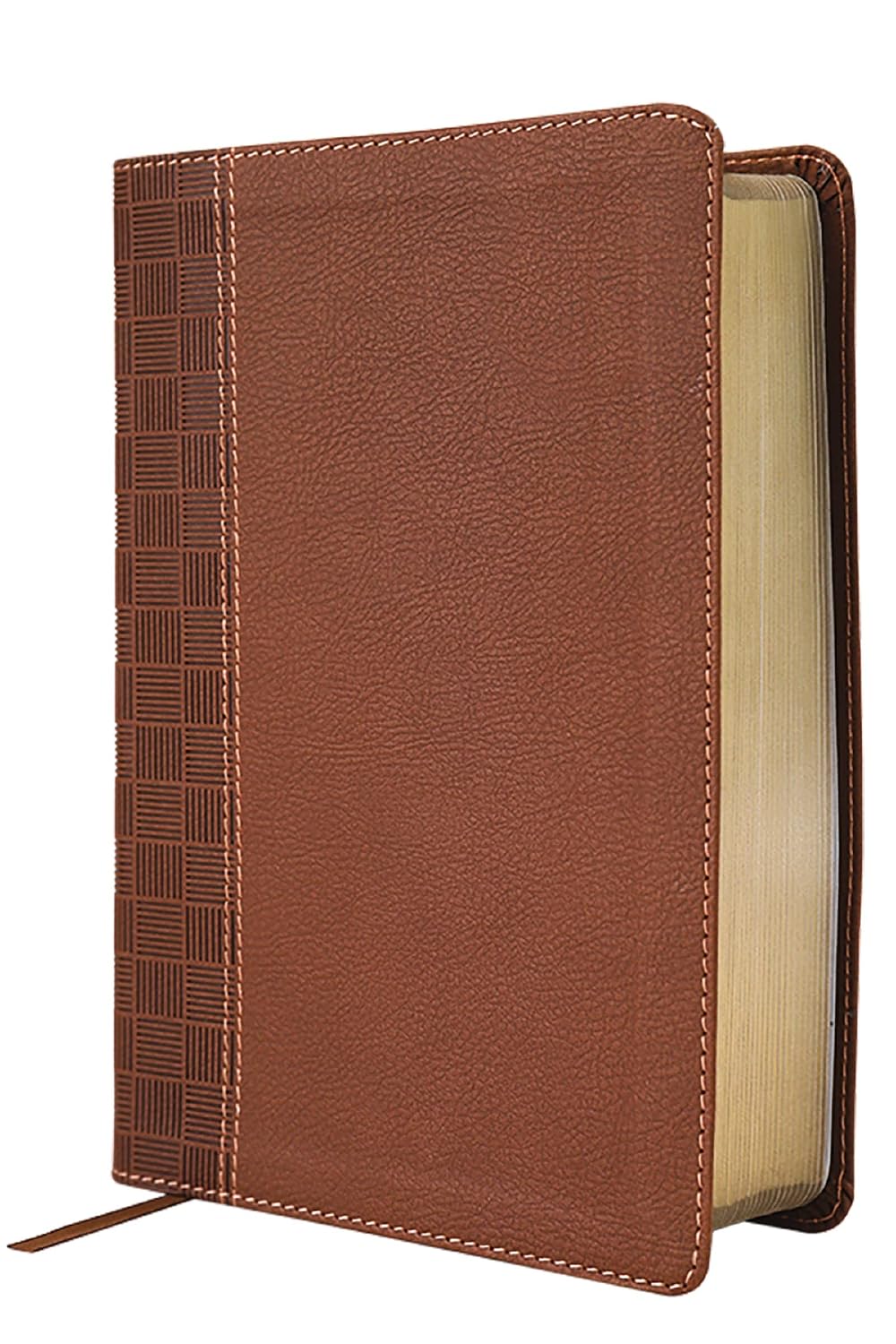 Anglais, Bible, New International Reader's Version, moyen format, gros caractères, similicuir...