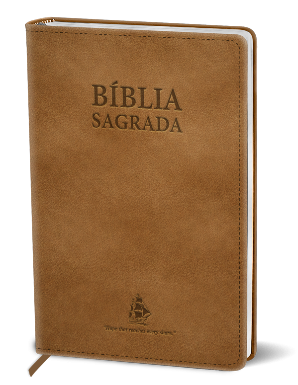 Portugiesische Bibel Flexcover Taupe - 	Bíblia Sagrada: Versão Fácil de Ler