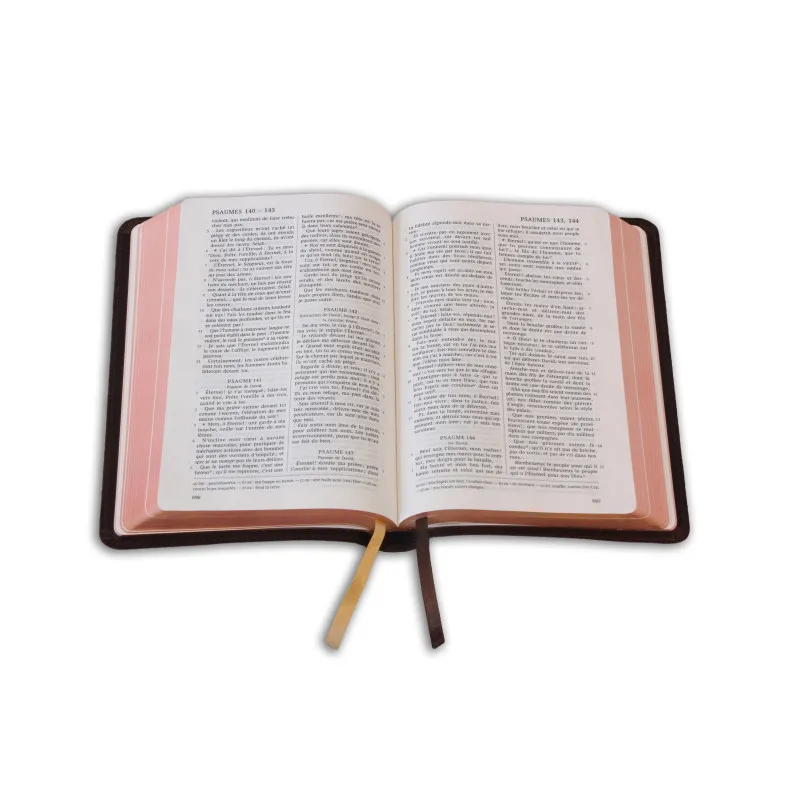 Bible Darby édition de Rolle, format moyen, cuir brun, souple, tranche dorée