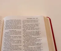 Bible Darby édition de Rolle, format moyen, textile bordeaux, semi-rigide, tranche or