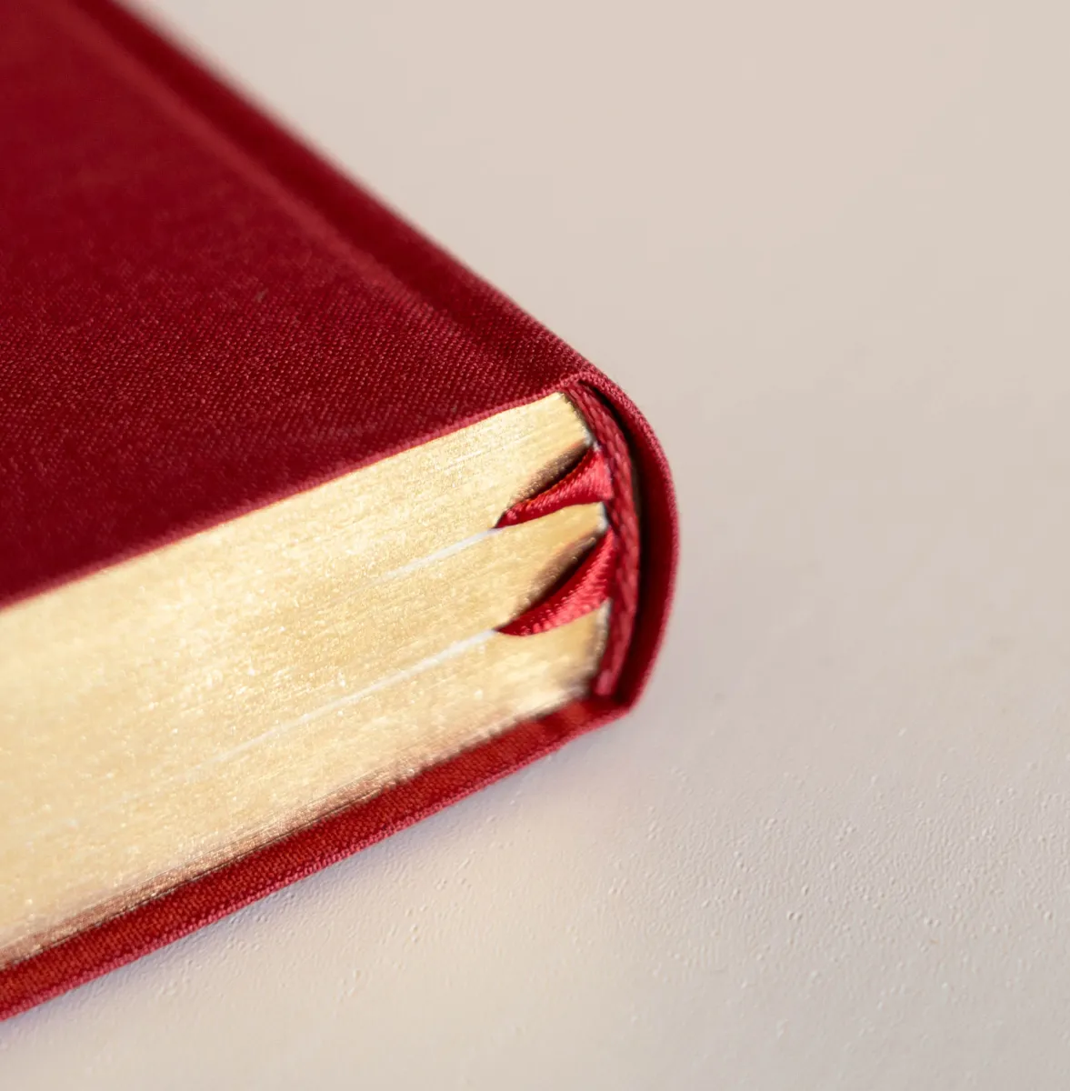 Bible Darby édition de Rolle, format moyen, textile bordeaux, semi-rigide, tranche or