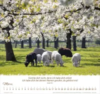 Ein Leben für die Schafe - Wandkalender
