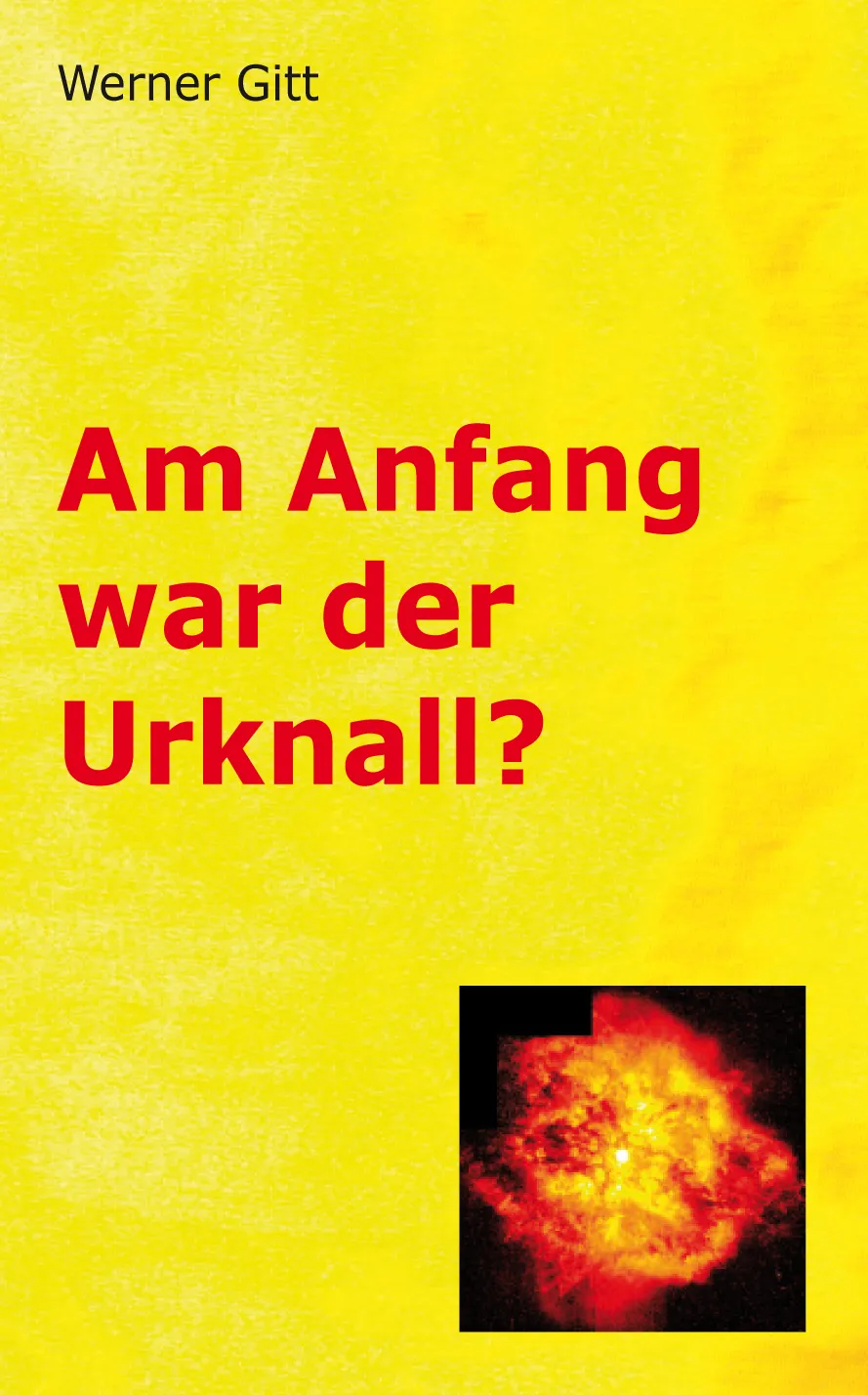 AM ANFANG WAR DER URKNALL? - ePub