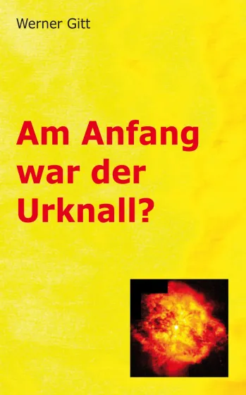 AM ANFANG WAR DER URKNALL? - ePub