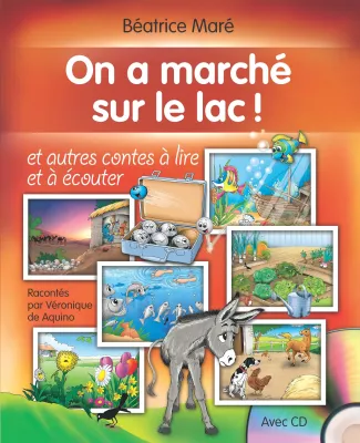 On a marché sur le lac - ePub