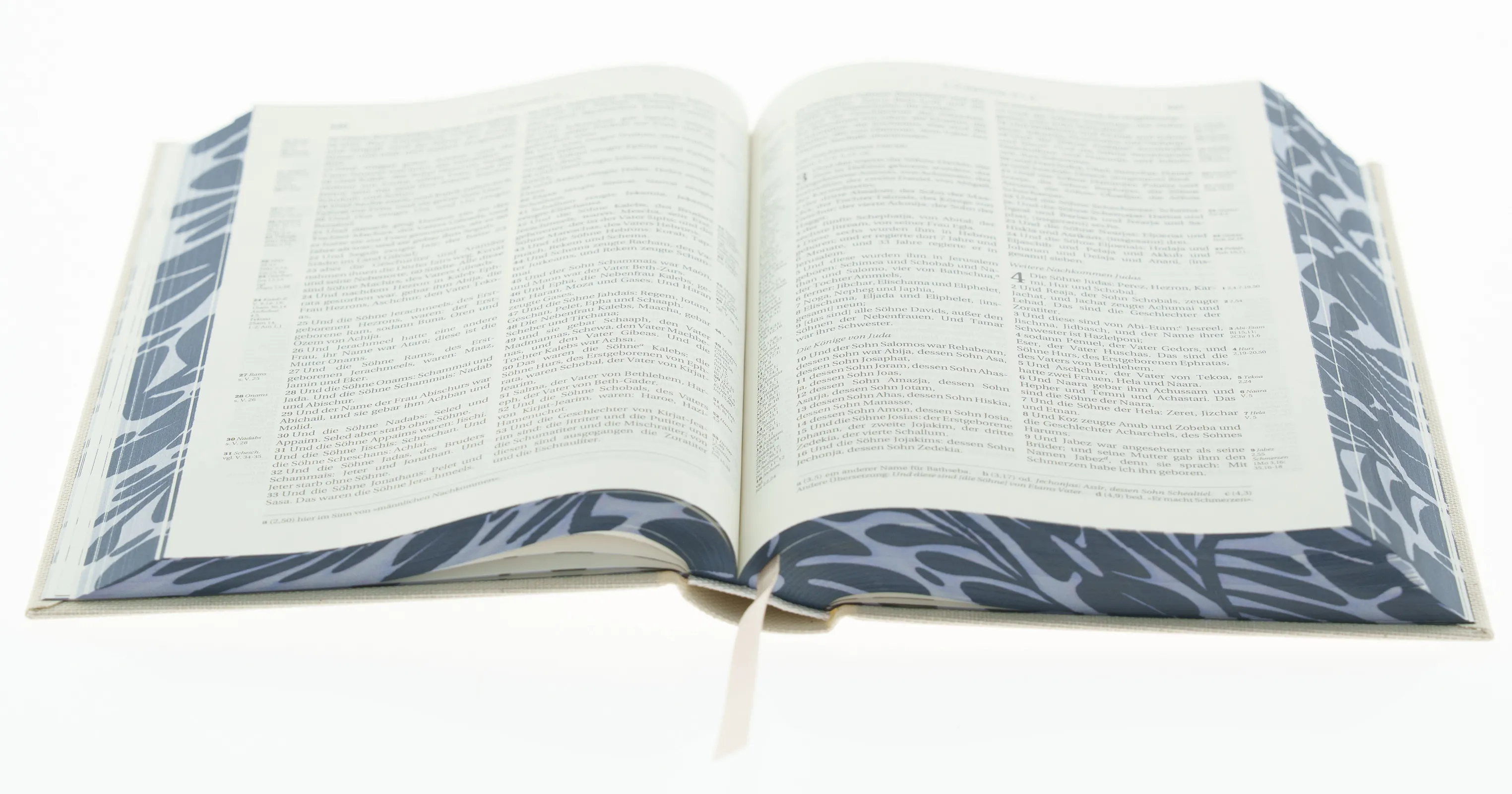 Schlachter 2000 Bibel - Standardausgabe mit Parallelstellen, Hardcover, Naturleinen,...