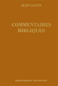 Galates, Éphésiens, Philippiens et Colossiens - Commentaires bibliques, t.6
