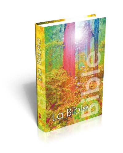 BIBEL NEG, MINIATUR, GEB., ILL. UMSCHLAG "WALD"