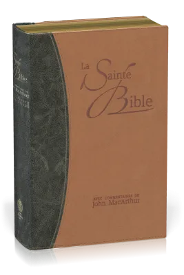 BIBEL NEG MACARTHUR, BIEGSAMES LEDERIMITAT, GOLDSCHNITT, BLAU/BEIGE