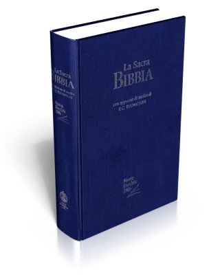 Italienisch, Bibel Nuova Riveduta, Thompson, Gebunden, Blau