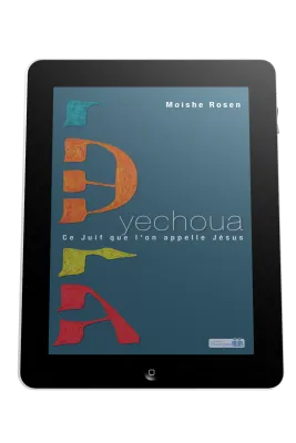 Yechoua - Ce juif que l'on appelle Jésus - ebook