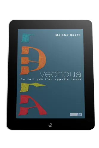 Yechoua - Ce juif que l'on appelle Jésus - ebook