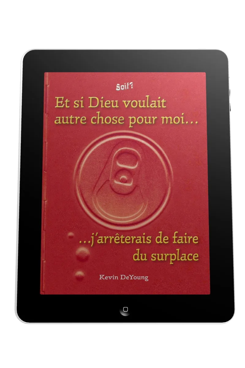 Et si Dieu voulait autre chose pour moi… - j'arrêterais de faire du surplace - ePub