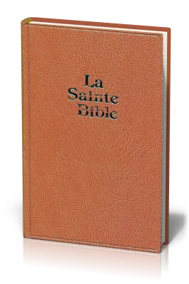 Bible Darby, grand format, brun clair - couverture rigide, skyvertex