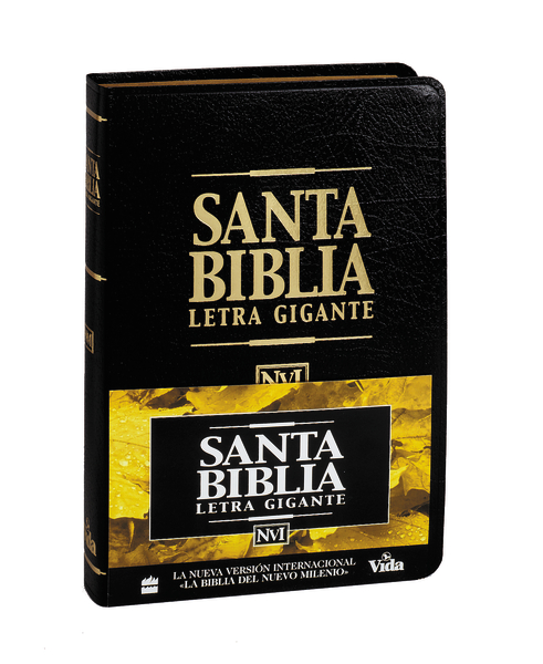 Spanisch, Bibel Nueva Versión Internacional, Grossdruck, Fibroleder, gebunden, schwarz