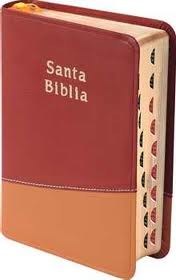 Spanische Bibel ,flexibel, zweifarbig rot/orange, Goldschnitt, Griffregister - RVR045CTI