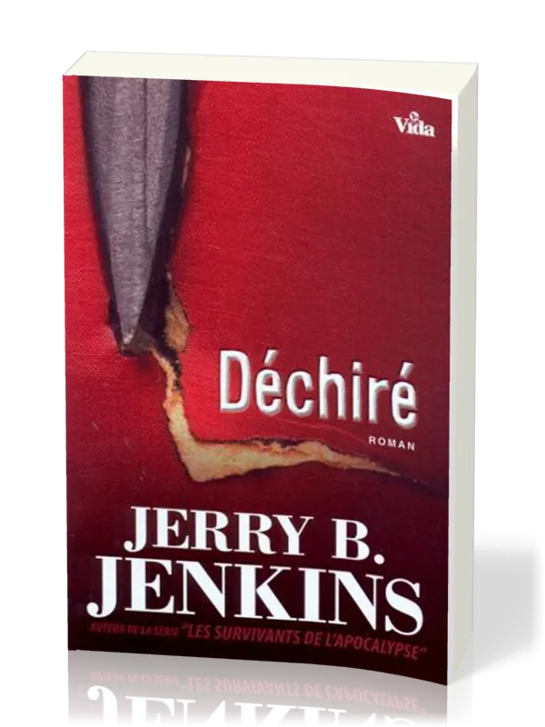 Déchiré - Roman