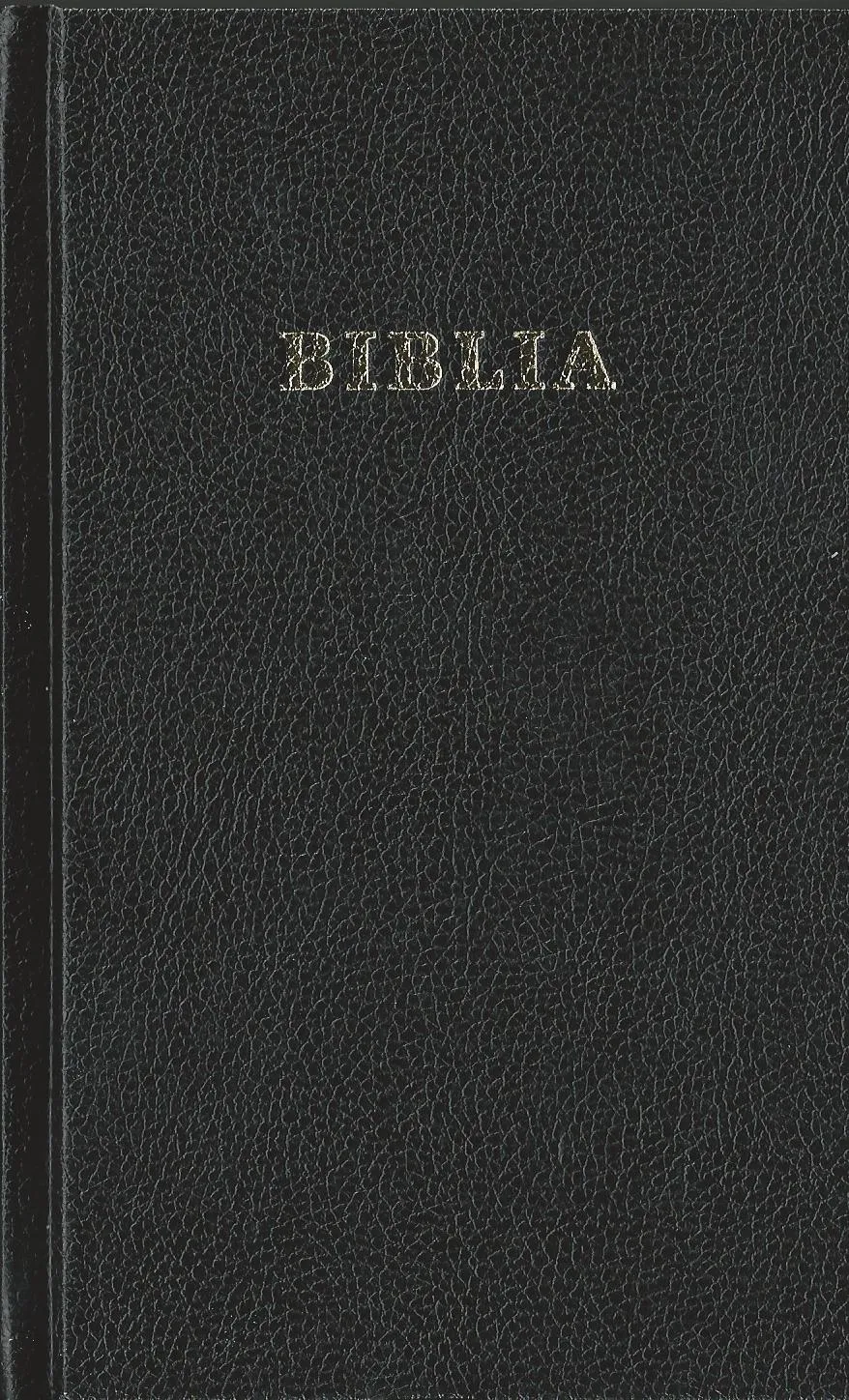 Rumänisch, Bibel, Traducerea GBV 2025, gebunden