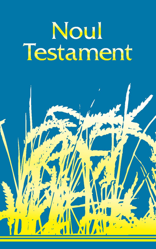 Rumänisch, Neues Testament - broschiert