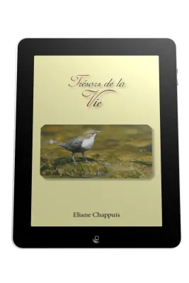 Trésors de la vie - Ebook