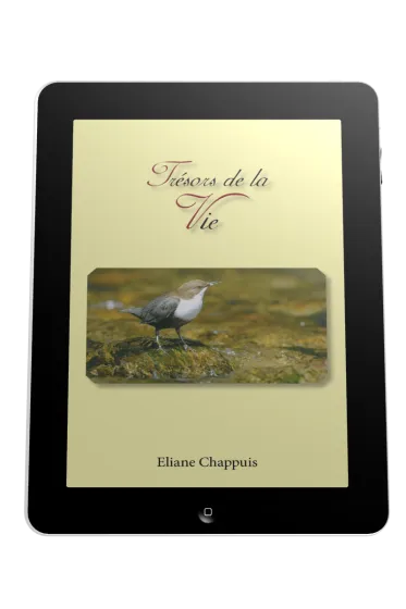 Trésors de la vie - Ebook