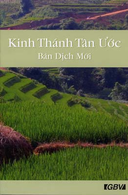 Vietnamesisch, Neues Testament, kompakt, broschiert, biegsam, illustriert