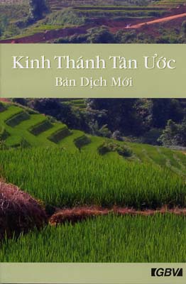 Vietnamesisch, Neues Testament, kompakt, broschiert, biegsam, illustriert