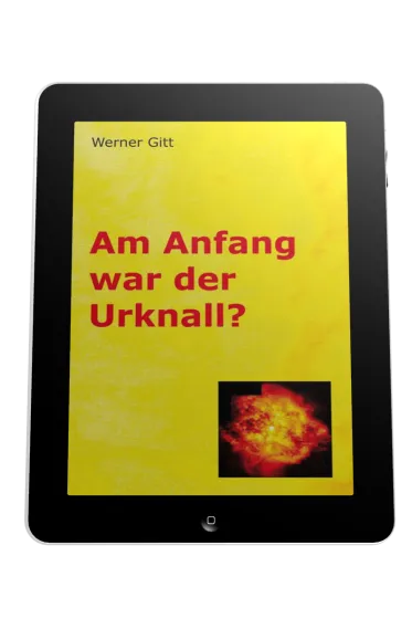 AM ANFANG WAR DER URKNALL? - EBOOK