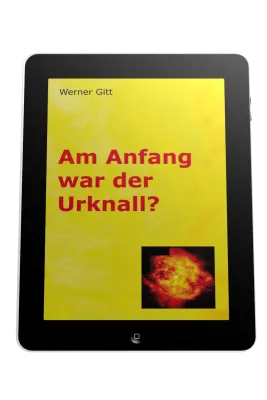 AM ANFANG WAR DER URKNALL? - ePub
