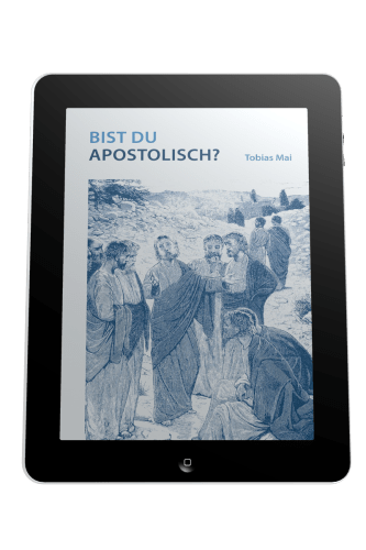 BIST DU APOSTOLISCH? - EBOOK