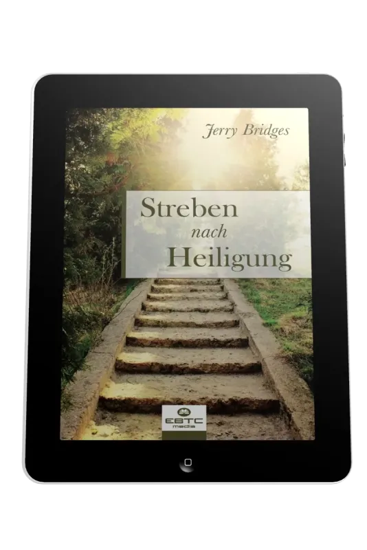 STREBEN NACH HEILIGUNG - EBOOK
