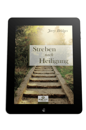 STREBEN NACH HEILIGUNG - EBOOK