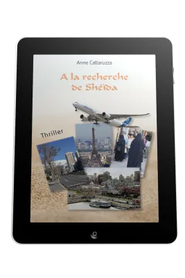 À la recherche de Shéïda - ePub