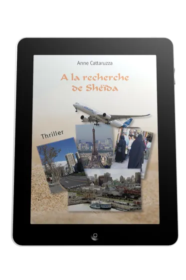 À la recherche de Shéïda - ePub