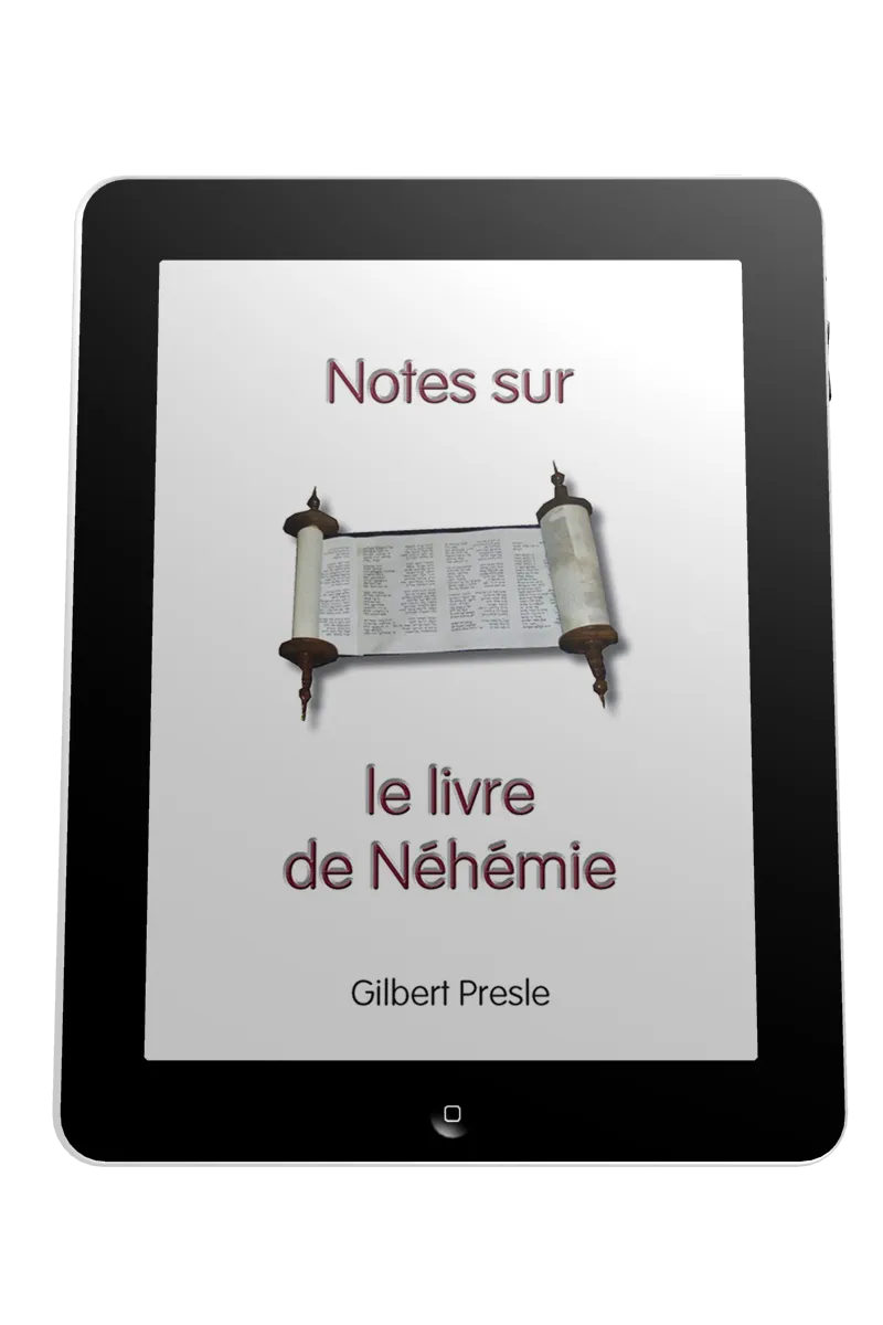 Notes sur le livre de Néhémie - ePub