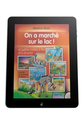 On a marché sur le lac - Ebook