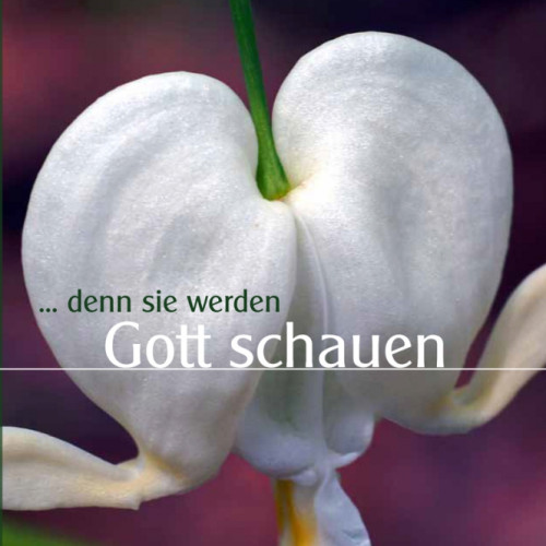 DENN SIE WERDEN GOTT SCHAUEN - AUDIO CD