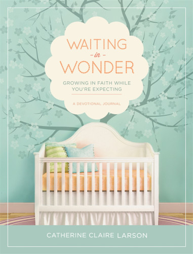 WAITING IN WONDER- DEVOTIONAL - GROWING IN FAITH WHILE YOU'RE EXPECTING