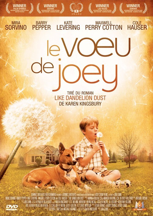 VOEU DE JOEY (LE) [DVD]
