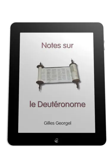 Notes sur le Deutéronome - Ebook