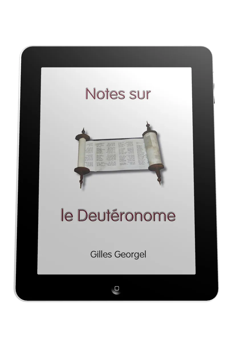 Notes sur le Deutéronome - ePub