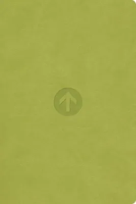 Bibel, Schlachter 2000, Taschenausgabe, Pu-Einband grün, grauer Farbschnitt, Fadenheftung