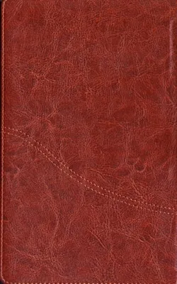 Farsi (Persisch), Bibel New Millenium Version