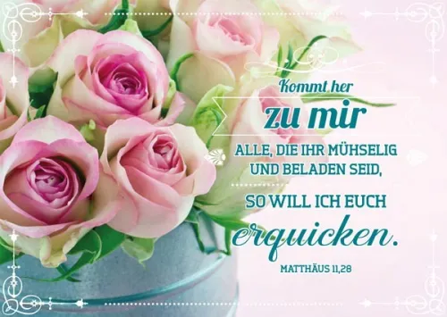 PK ROSEN IN KANNE, 12 STÜCK - POSTKARTE