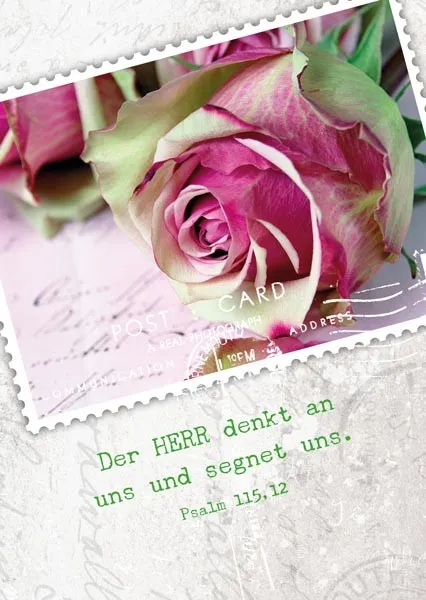 PK ROSEN AUF BRIEF, 12 STÜCK - POSTKARTE