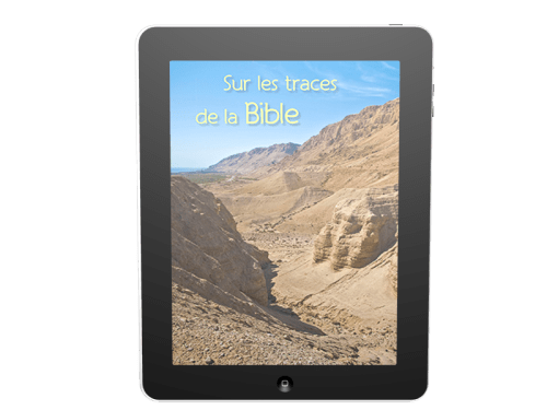 Sur les traces de la Bible - Ebook