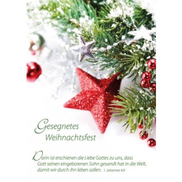 Weihnachten - roter Stern am Zweig - Postkarte - Serie mit 12 Stk.