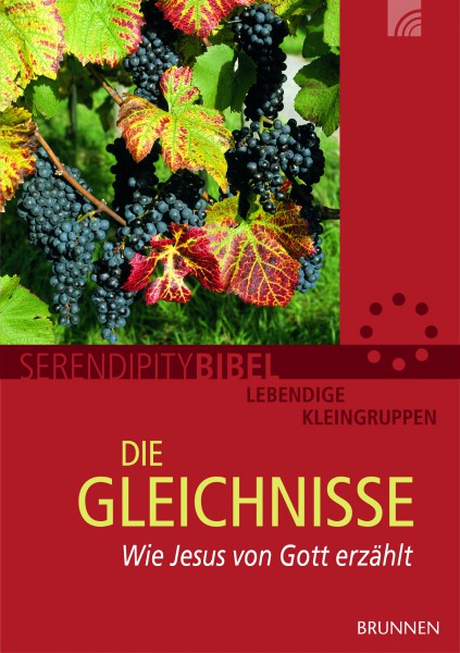 DIE GLEICHNISSE - WIE JESUS VON GOTT ERZÄHLT, SERENDIPITY