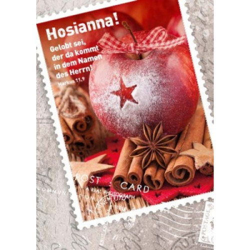 Roter Apfel mit Stern - Postkarte - Serie mit 12 Stk.